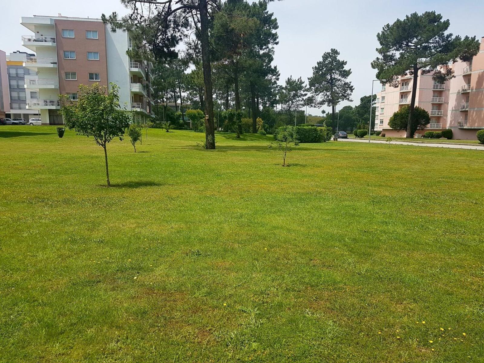 Viana Do Castelo, Cabedelo Beach Apartment Exteriör bild